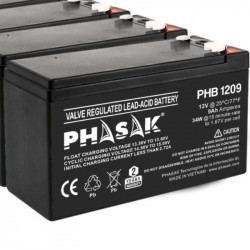 Batería phasak phb 1209...