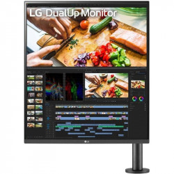 Monitor profesional lg...