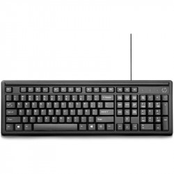 Teclado hp 100